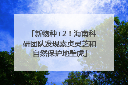 新物种+2！海南科研团队发现素贞灵芝和自然保护地壁虎