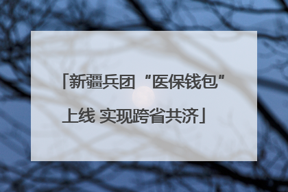 新疆兵团“医保钱包”上线 实现跨省共济