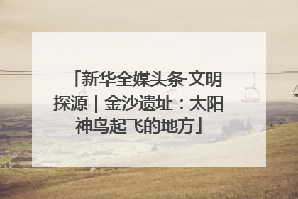 新华全媒头条·文明探源｜金沙遗址：太阳神鸟起飞的地方