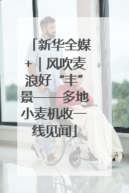 新华全媒+｜风吹麦浪好“丰”景——多地小麦机收一线见闻