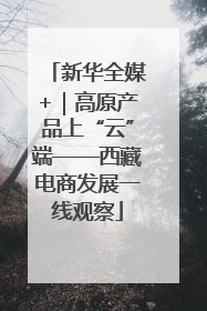 新华全媒+｜高原产品上“云”端——西藏电商发展一线观察