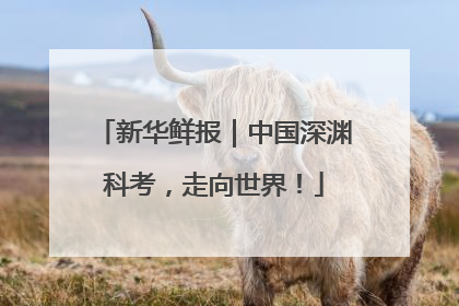 新华鲜报｜中国深渊科考，走向世界！