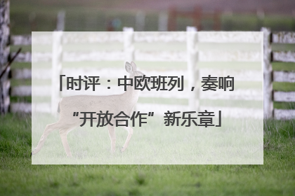 时评：中欧班列，奏响“开放合作”新乐章