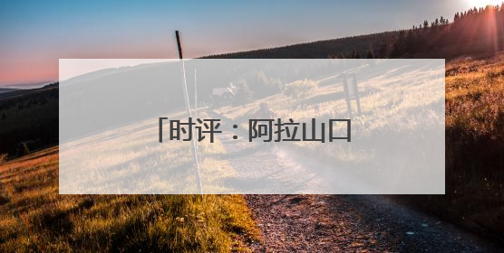 时评：阿拉山口“钢铁驼队”续写丝路新传奇