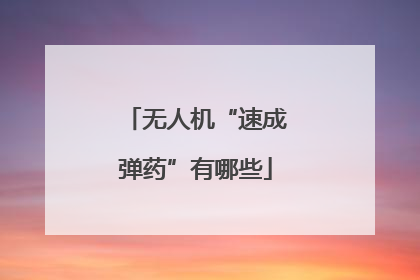 无人机“速成弹药”有哪些