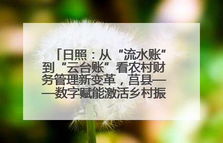 日照：从“流水账”到“云台账”看农村财务管理新变革，莒县——数字赋能激活乡村振兴“一池春水”