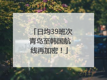 日均39班次 青岛至韩国航线再加密！