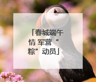 春城端午情 军营“粽”动员