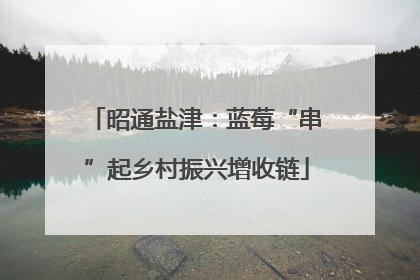 昭通盐津：蓝莓“串”起乡村振兴增收链