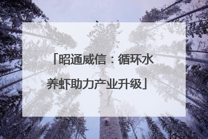 昭通威信：循环水养虾助力产业升级