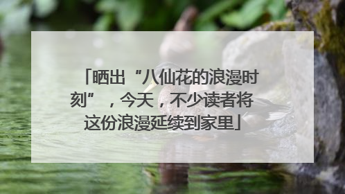 晒出“八仙花的浪漫时刻”，今天，不少读者将这份浪漫延续到家里