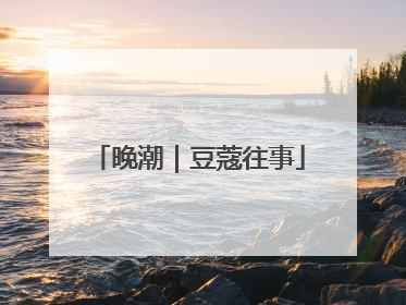 晚潮｜豆蔻往事
