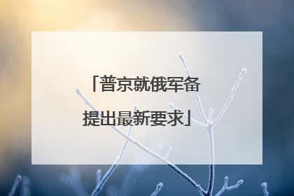 普京就俄军备提出最新要求