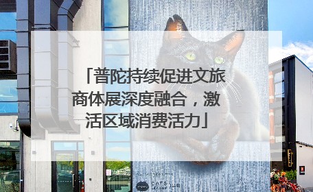 普陀持续促进文旅商体展深度融合，激活区域消费活力