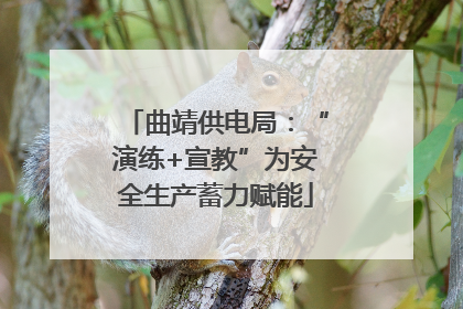 曲靖供电局：“演练+宣教”为安全生产蓄力赋能