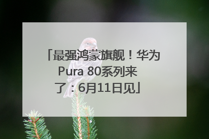 最强鸿蒙旗舰！华为Pura 80系列来了：6月11日见