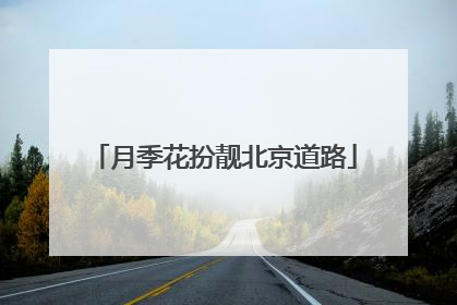 月季花扮靓北京道路
