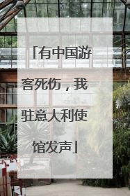 有中国游客死伤，我驻意大利使馆发声