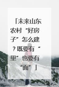 未来山东农村“好房子”怎么建？既要有“里”也要有“面”