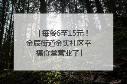 每餐6至15元！金辰街道金实社区幸福食堂营业了