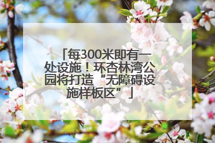 每300米即有一处设施！环杏林湾公园将打造“无障碍设施样板区”