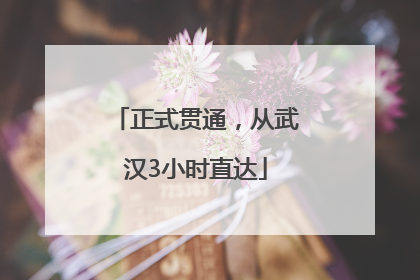 正式贯通，从武汉3小时直达