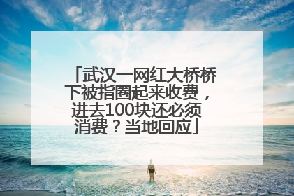 武汉一网红大桥桥下被指圈起来收费，进去100块还必须消费？当地回应