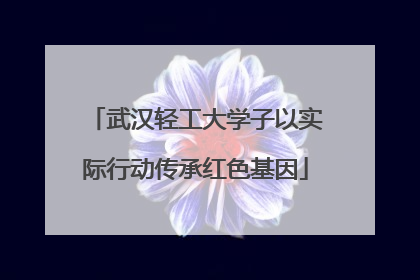 武汉轻工大学子以实际行动传承红色基因