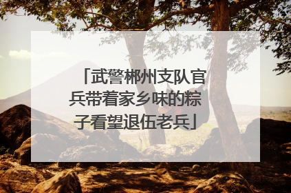 武警郴州支队官兵带着家乡味的粽子看望退伍老兵