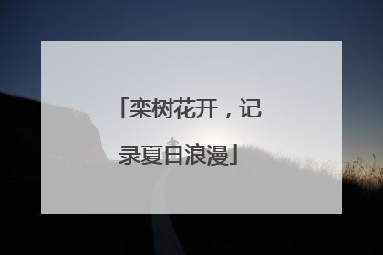 栾树花开，记录夏日浪漫
