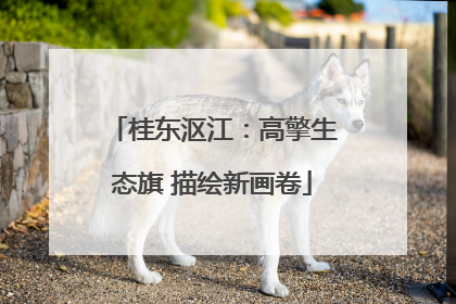 桂东沤江：高擎生态旗 描绘新画卷