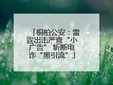 桐柏公安：雷霆出击严查“小广告” 斩断电诈“黑引流”