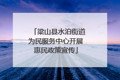 梁山县水泊街道为民服务中心开展惠民政策宣传