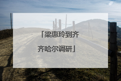 梁惠玲到齐齐哈尔调研