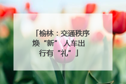 榆林：交通秩序焕“新” 人车出行有“礼”