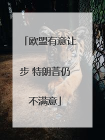 欧盟有意让步 特朗普仍不满意