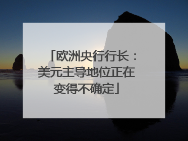 欧洲央行行长：美元主导地位正在变得不确定