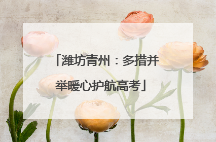 潍坊青州：多措并举暖心护航高考