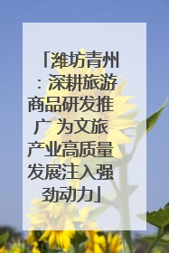 潍坊青州：深耕旅游商品研发推广 为文旅产业高质量发展注入强劲动力