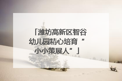潍坊高新区智谷幼儿园精心培育“小小策展人”