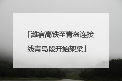 潍宿高铁至青岛连接线青岛段开始架梁