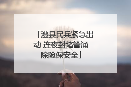澧县民兵紧急出动 连夜封堵管涌除险保安全