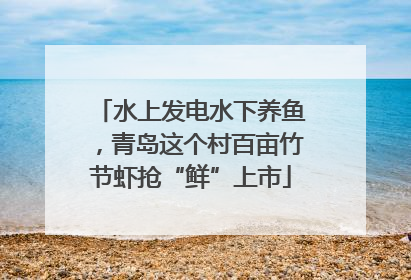 水上发电水下养鱼，青岛这个村百亩竹节虾抢“鲜”上市