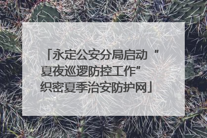 永定公安分局启动“夏夜巡逻防控工作” 织密夏季治安防护网