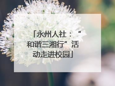 永州人社：“和谐三湘行”活动走进校园