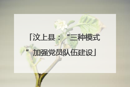 汶上县：“三种模式”加强党员队伍建设