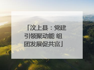 汶上县：党建引领聚动能 组团发展促共富