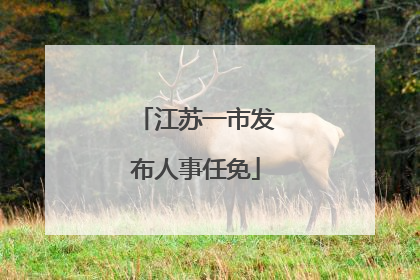 江苏一市发布人事任免