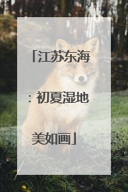 江苏东海：初夏湿地美如画