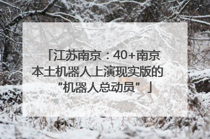 江苏南京：40+南京本土机器人上演现实版的“机器人总动员”